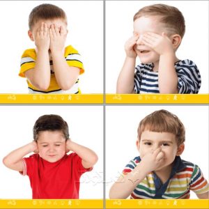 فلش کارت یک سالگی اعضای بدن من