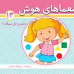 کتاب معماهای هوش برای کودکان جلد 13
