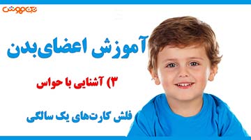 آموزش فلش کارت اعضای بدن