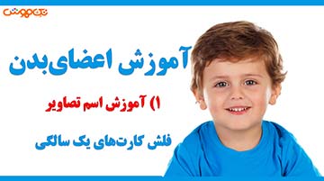 آموزش فلش کارت اعضای بدن