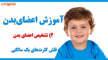 آموزش فلش کارت اعضای بدن 2