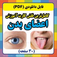 فلش کارت آموزش اعضای بدن
